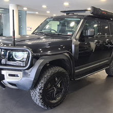 Load image into Gallery viewer, Side Protection Brush Bars Heavy Duty